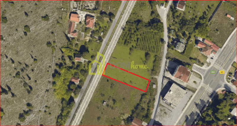 Plac 2014m2, Masline