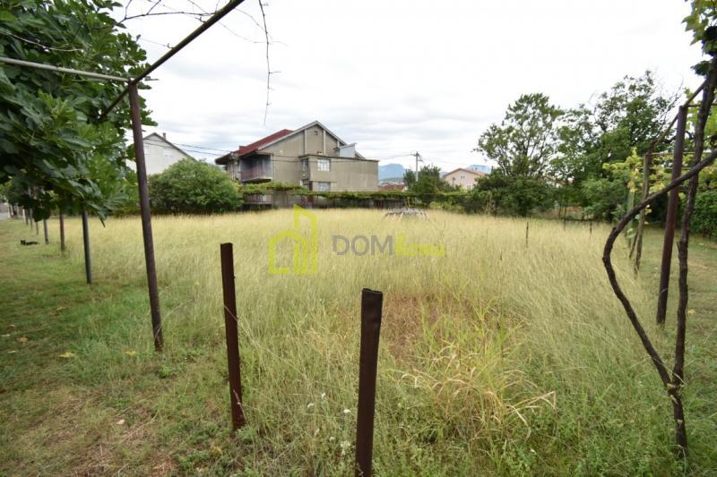 Plac 1200m2, Masline