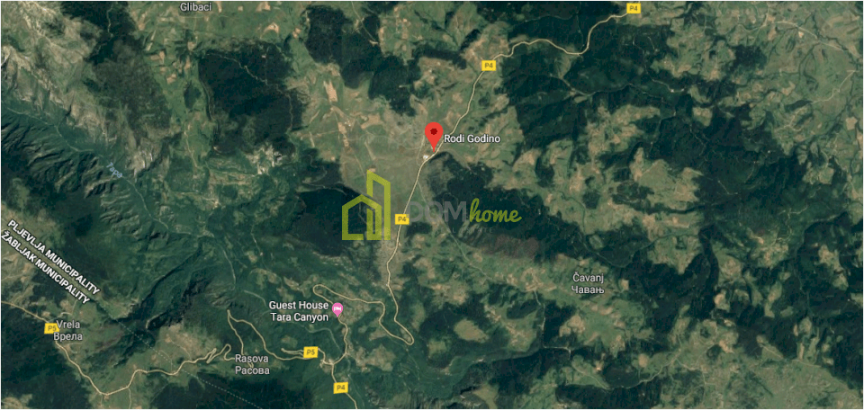 Plac 33000m2, Kosanica