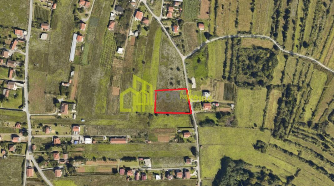 Plac 1000m2, Dajbabe