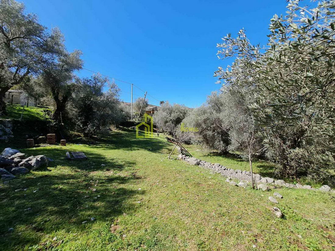 Plac 3160m2, Bartula